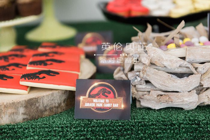 Label + Sweet Table Detail from a Jurassic Park Dinosaur Birthday Party via Kara
