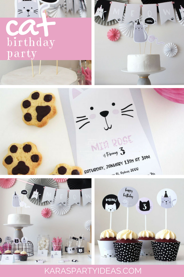 Cat Birthday Party via Kara