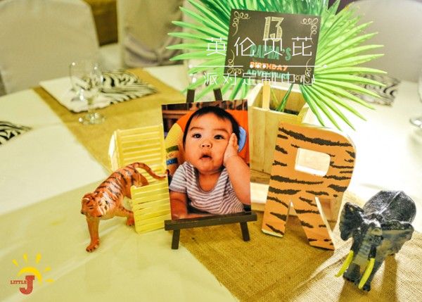 Safari Themed Birthday Party